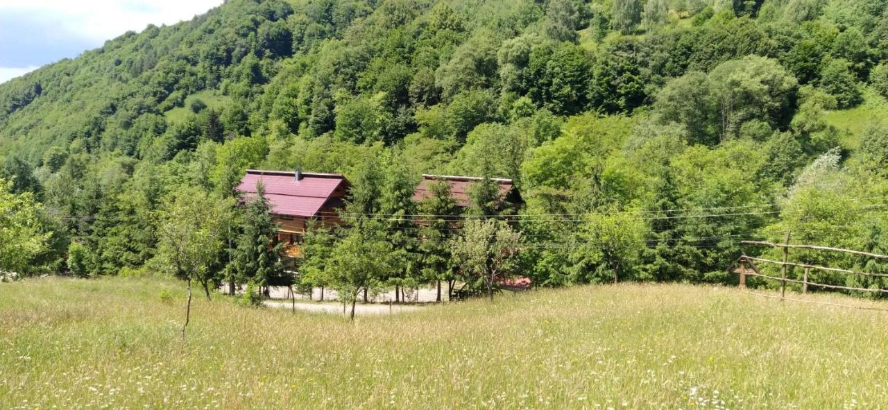 Pensiunea Simina Viseu de Jos Exterior photo
