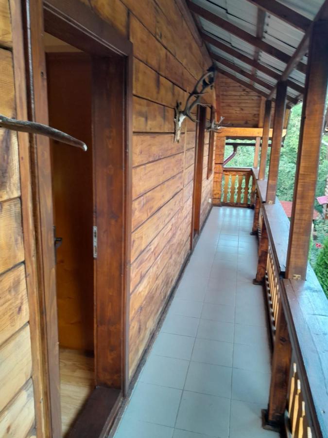 Pensiunea Simina Viseu de Jos Exterior photo