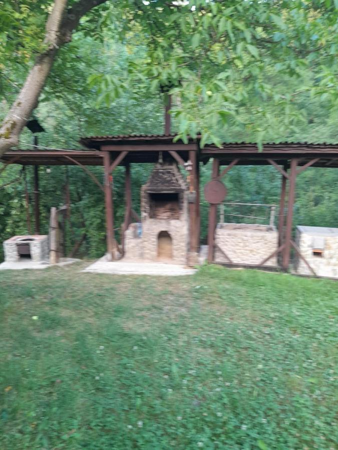Pensiunea Simina Viseu de Jos Exterior photo