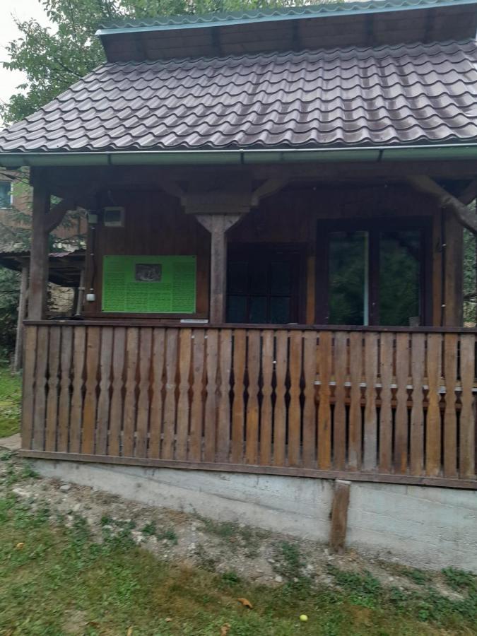 Pensiunea Simina Viseu de Jos Exterior photo